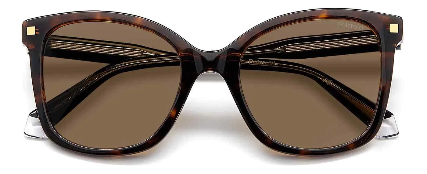 Polaroid Core PLD4151 Eyeglasses - view 11